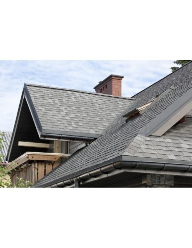 Cambridge Xpress - Eastern grey (51)